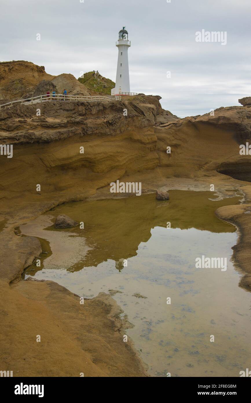 Castlepoint è una piccola cittadina sulla costa di Wairarapa, nella regione di Wellington in Nuova Zelanda. È la sede di un faro che si trova vicino a. Foto Stock