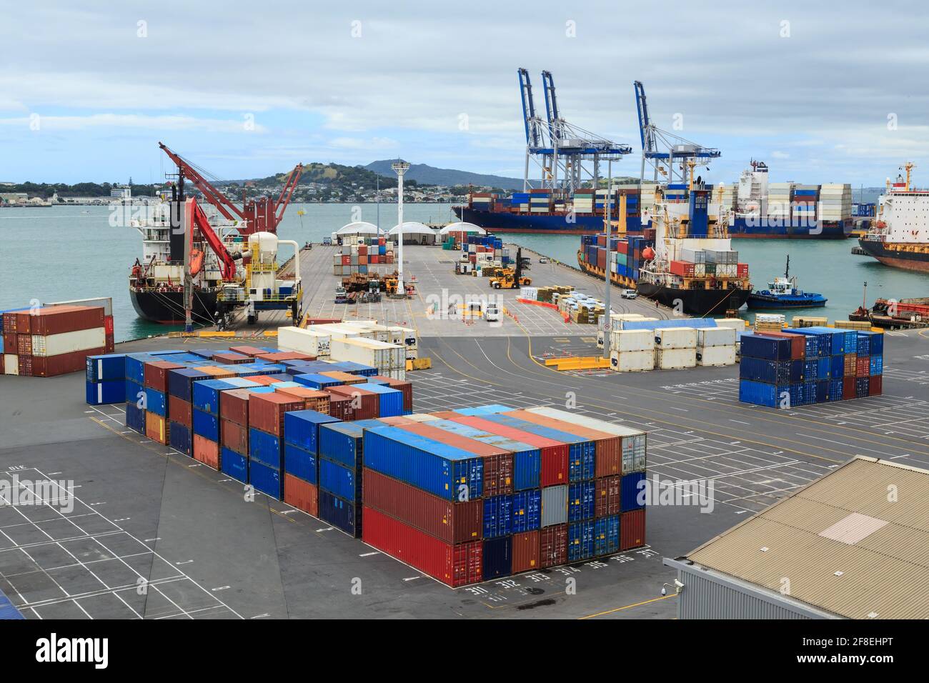 Il Porto di Auckland, Nuova Zelanda. Una vista del Molo di Jellicoe e delle gru sul terminal dei container di Fergusson Foto Stock