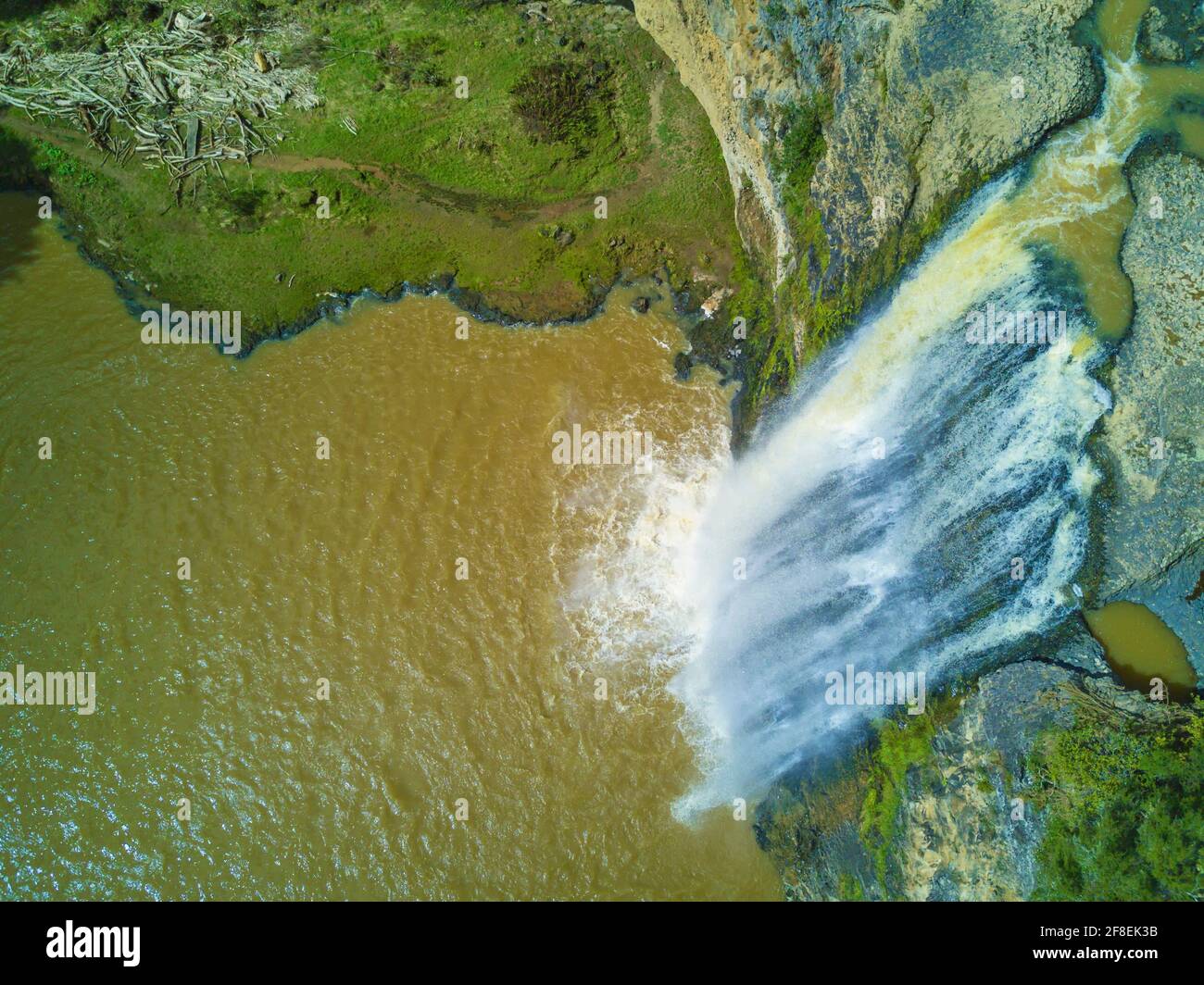 L'Hunua Falls si trova nella parte occidentale dell'Hunua Ranges Regional Park nell'area di Auckland. La spettacolare cascata di 30 metri fa parte della Wairoa Ri Foto Stock