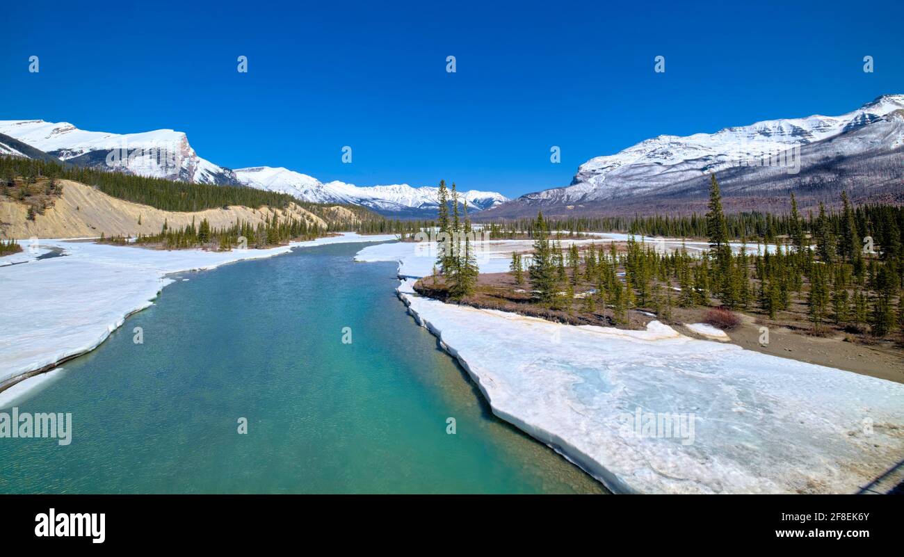 Il fiume che scorre sotto di noi era il Nord Saskatchewan. Proviene da un ghiacciaio delle Montagne Rocciose, chiamato ghiacciaio Saskatchewan preso @Banff An Foto Stock