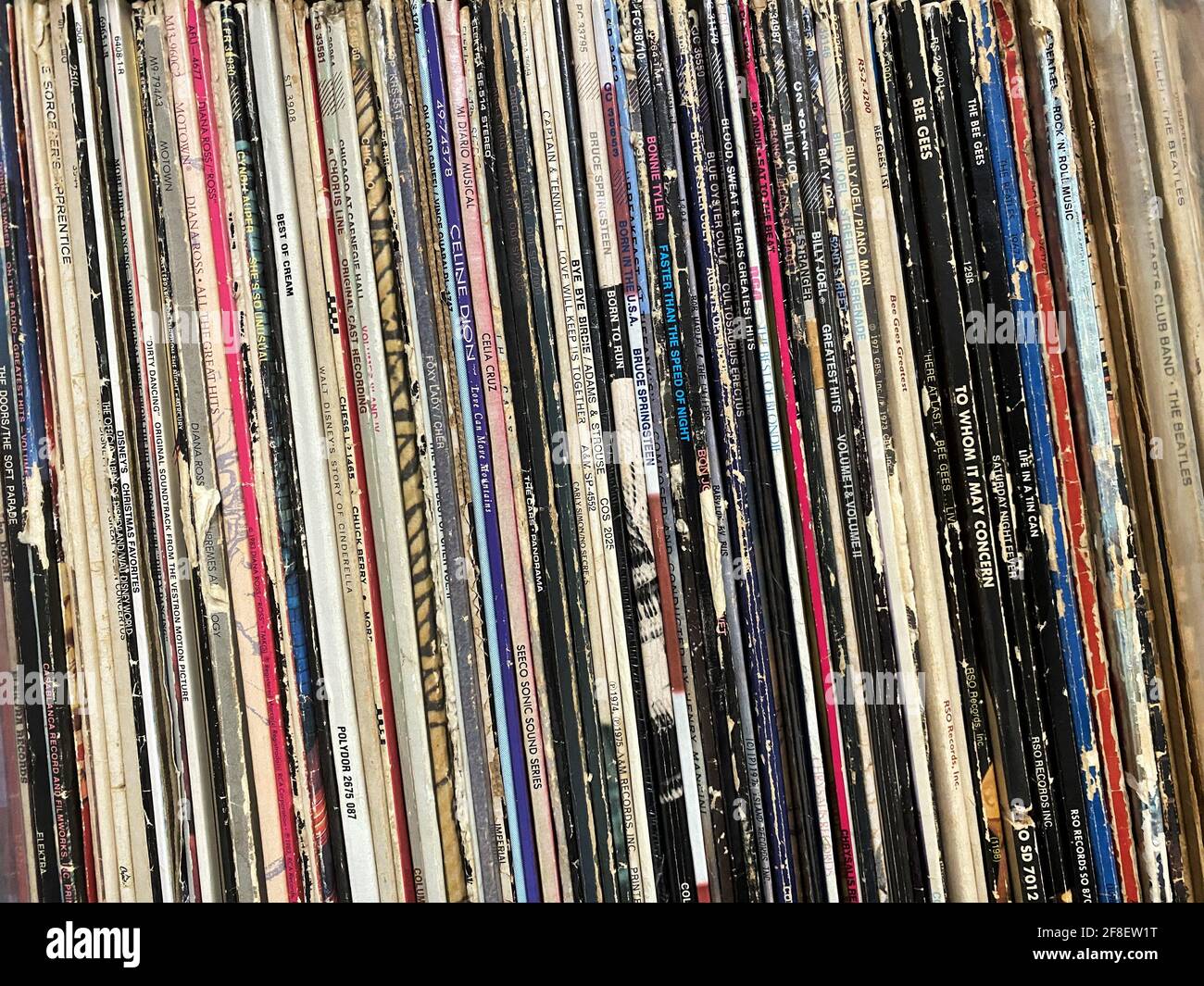 Vista dall'alto di una raccolta di record in ordine alfabetico. Collezione di vinile. Musica. Sfondo di vinile LP. Foto Stock