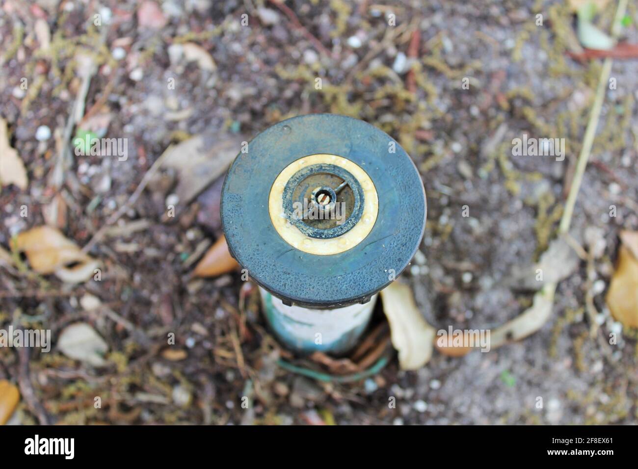 Testina sprinkler all'aperto nel cortile. La rottura dell'ugello della testina di irrorazione dell'irrigatore perde acqua con conseguente spreco di acqua e maggiore spesa per l'utilizzo dell'acqua. Foto Stock