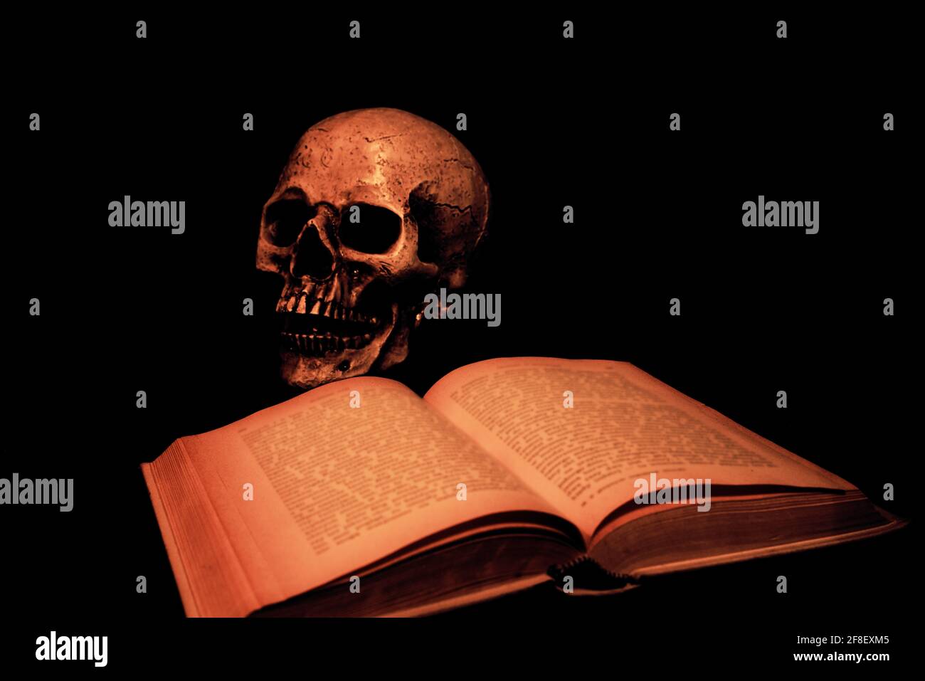 Un cranio e libri Foto Stock