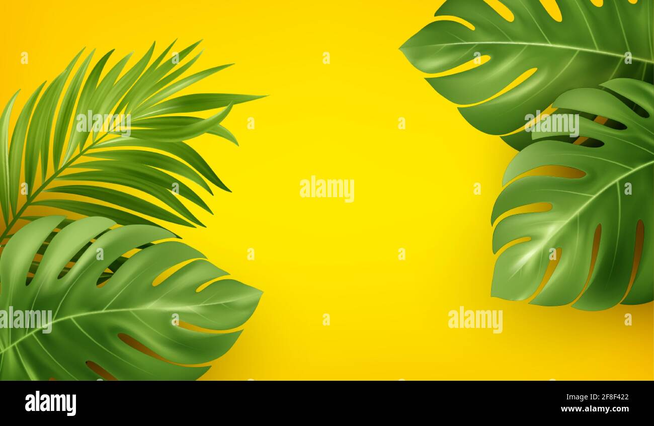 Sfondo estivo giallo luminoso con mostera tropicale realistico e foglie di palma. Sfondo per la pubblicità opuscolo, banner, volantino. Vettore Illustrazione Vettoriale