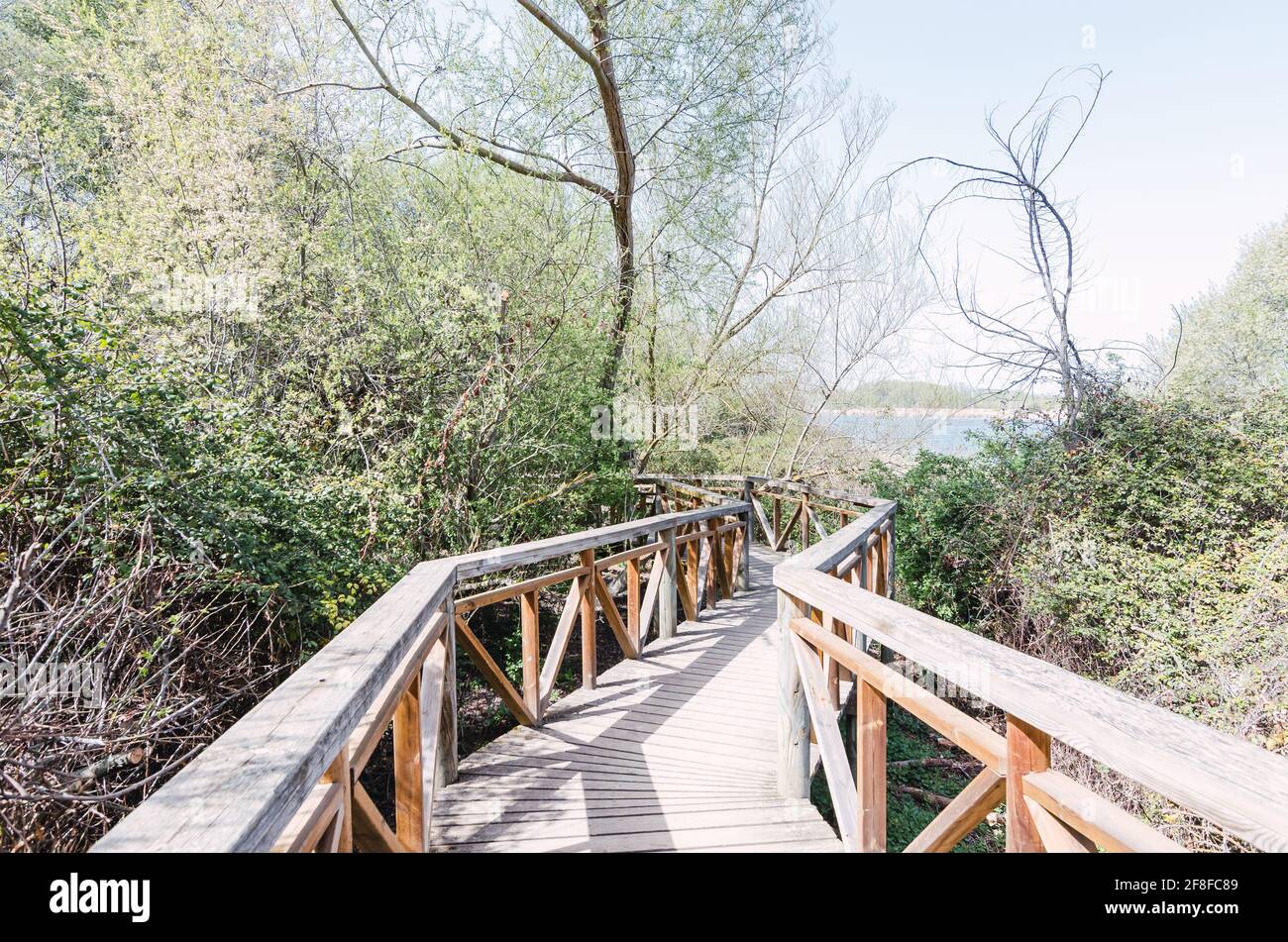 Ponte di legno nella Ribera de Castronuño. Fiume Duero. Foto Stock