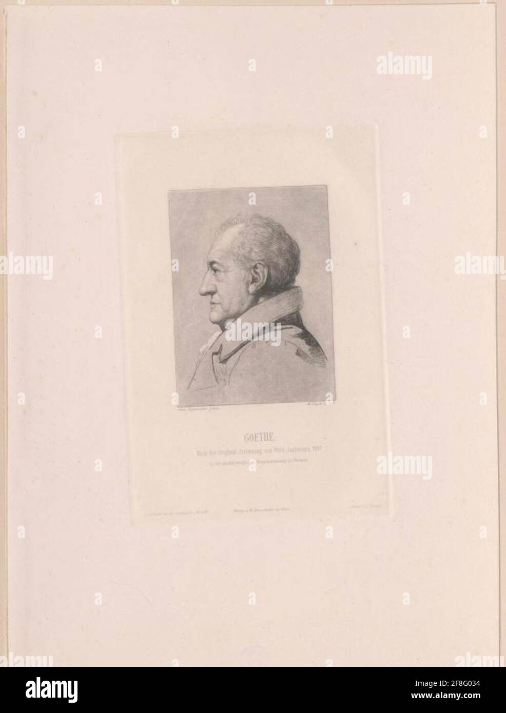 Goethe, Johann Wolfgang von. Foto Stock