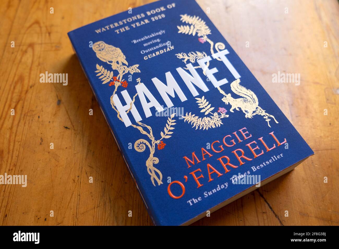 Libro di HAMNET romanzo di disegno di copertina della femmina britannica dell'Irlanda del Nord Donna autore scrittore Maggie o'Farrell 2020 UK KATHY DEWITT Foto Stock