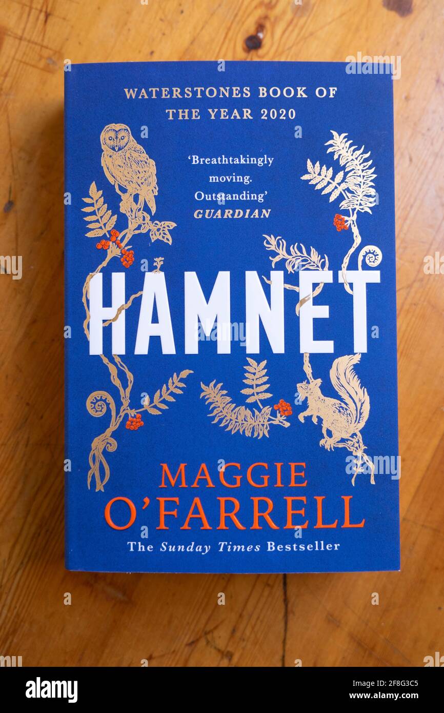 Libro di HAMNET romanzo di disegno di copertina della femmina britannica dell'Irlanda del Nord Donna autore scrittore Maggie o'Farrell 2020 UK KATHY DEWITT Foto Stock