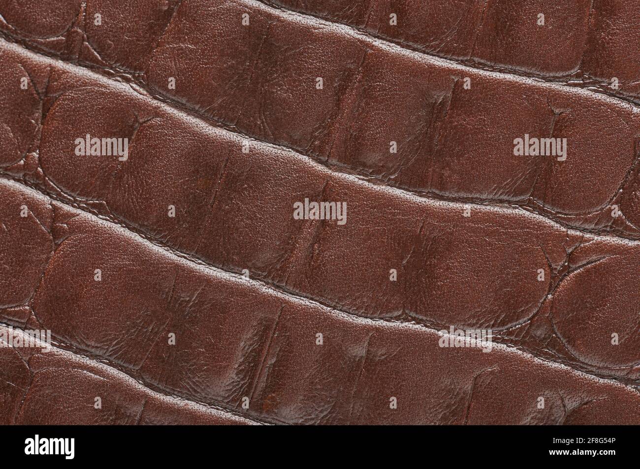 Vista ravvicinata della superficie della pelle animale marrone Foto Stock