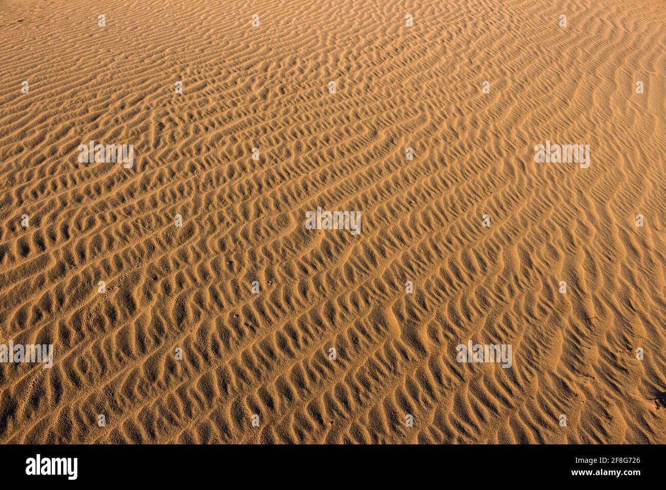 dune di sabbia in arabia saudita Foto Stock