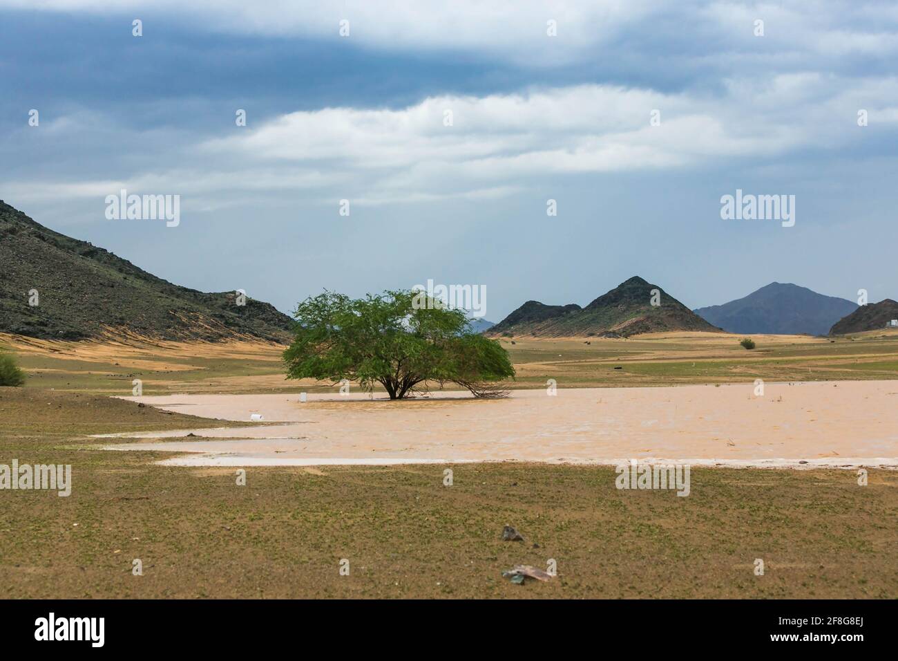 Una giornata piovosa nel deserto di makkah, arabia saudita Foto Stock