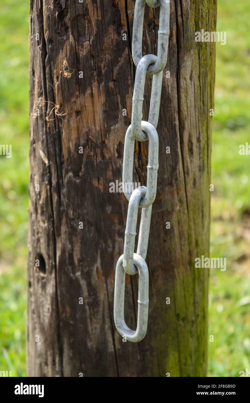 Palo Legno Staccionata Pali In Legno Per Recinzione - Mezzo Palo Tondo, 10cm X 150cm, Trattati Per Esterno Pali Staccionata