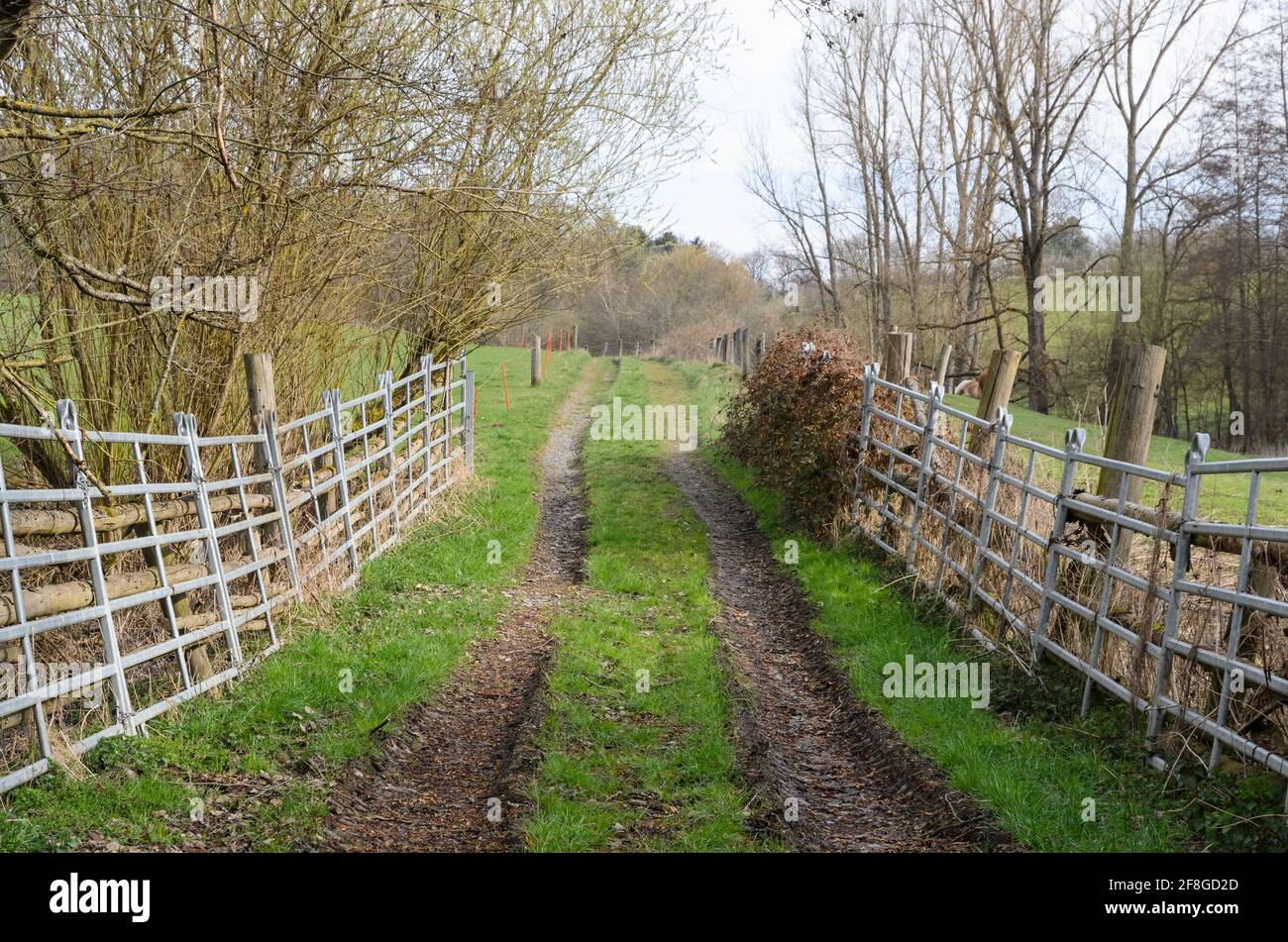 Recinzione metallica, barriera o recinzione lungo una strada o un percorso agricolo nella campagna rurale a Westerwald, Renania-Palatinato, Germania, Europa Foto Stock