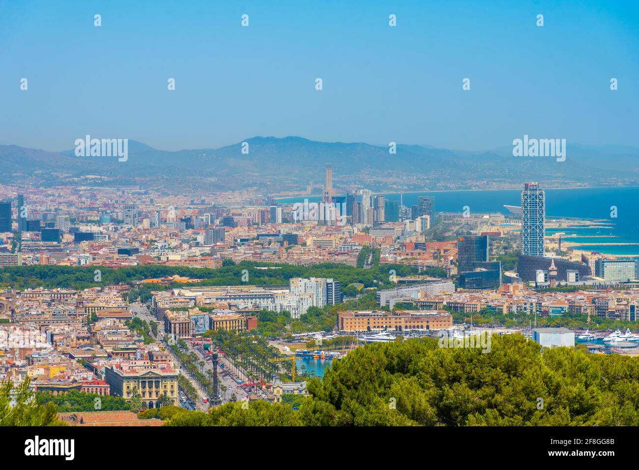 Vista aerea di Passeig de Colom dalla collina di Montjuic a Barcellona, Spagna Foto Stock