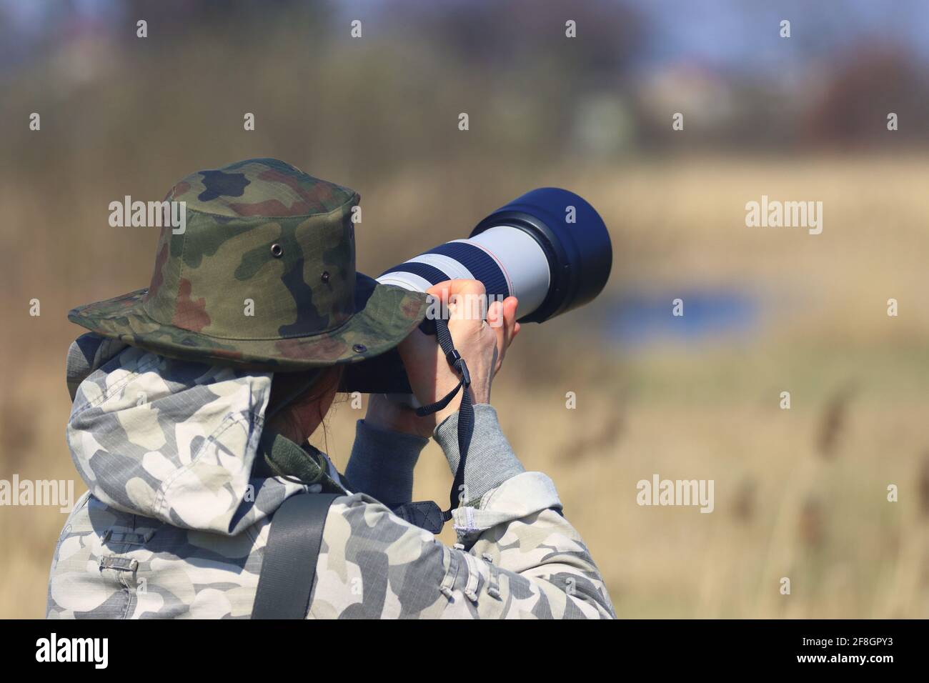 fotografo professionista della fauna selvatica, donna in un cappello e mimetizzazione, fotocamera con teleobiettivo in azione Foto Stock