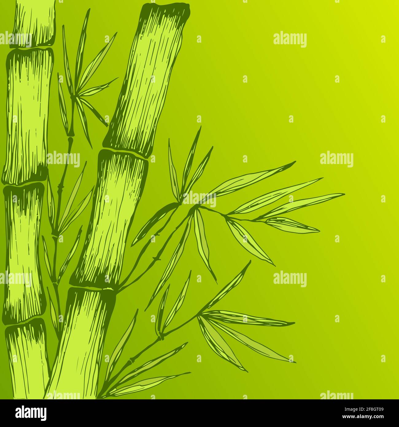 Colorato verde succosa Bamboo foglie rami stelo cornice decorativa con posto per il testo. Illustrazione Vettoriale
