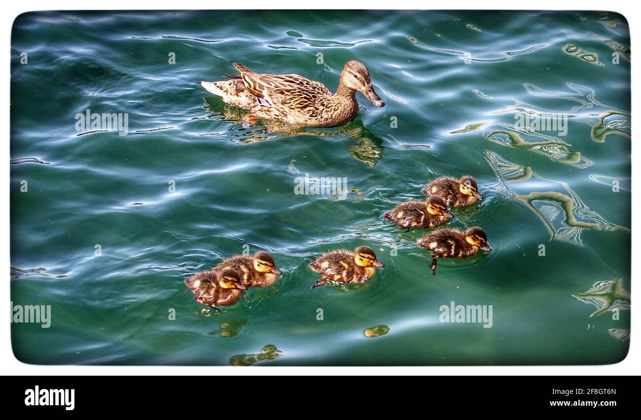 Southport credit Ian Fairfrate/Alamy foto d'archivio Foto Stock