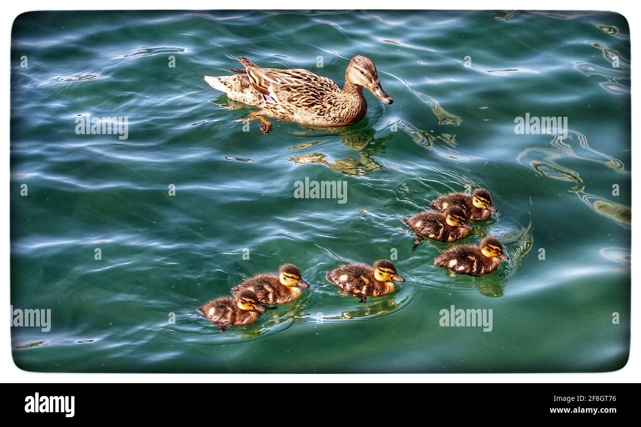 Southport credit Ian Fairfrate/Alamy foto d'archivio Foto Stock