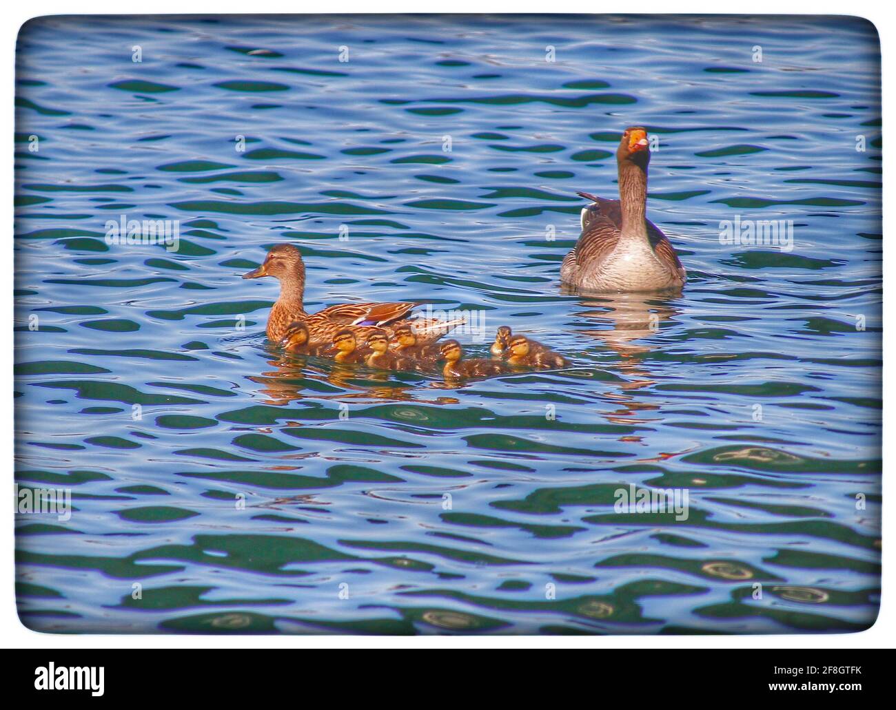 Southport credit Ian Fairfrate/Alamy foto d'archivio Foto Stock