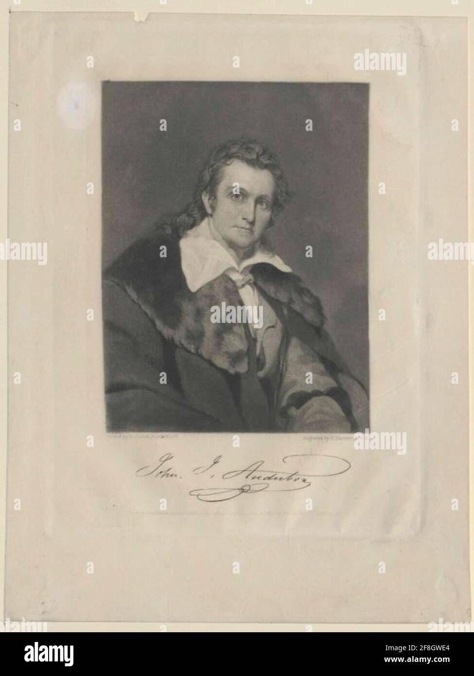 Audubon, Giovanni . Foto Stock