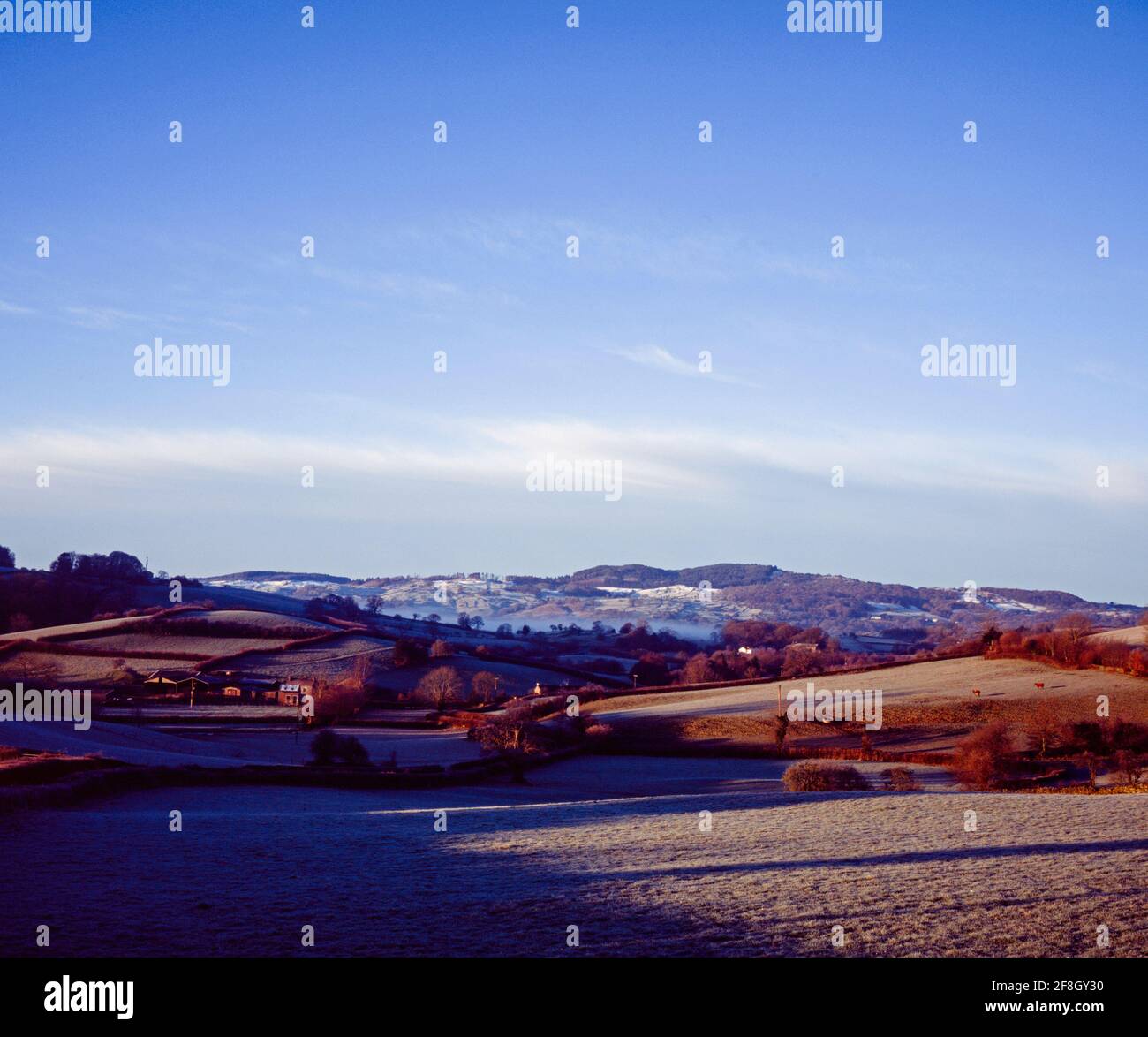 Frosty mattina invernale Crosthwaite tra Bowness su Windermere e Kendal Il Lake District Cumbria Inghilterra Foto Stock