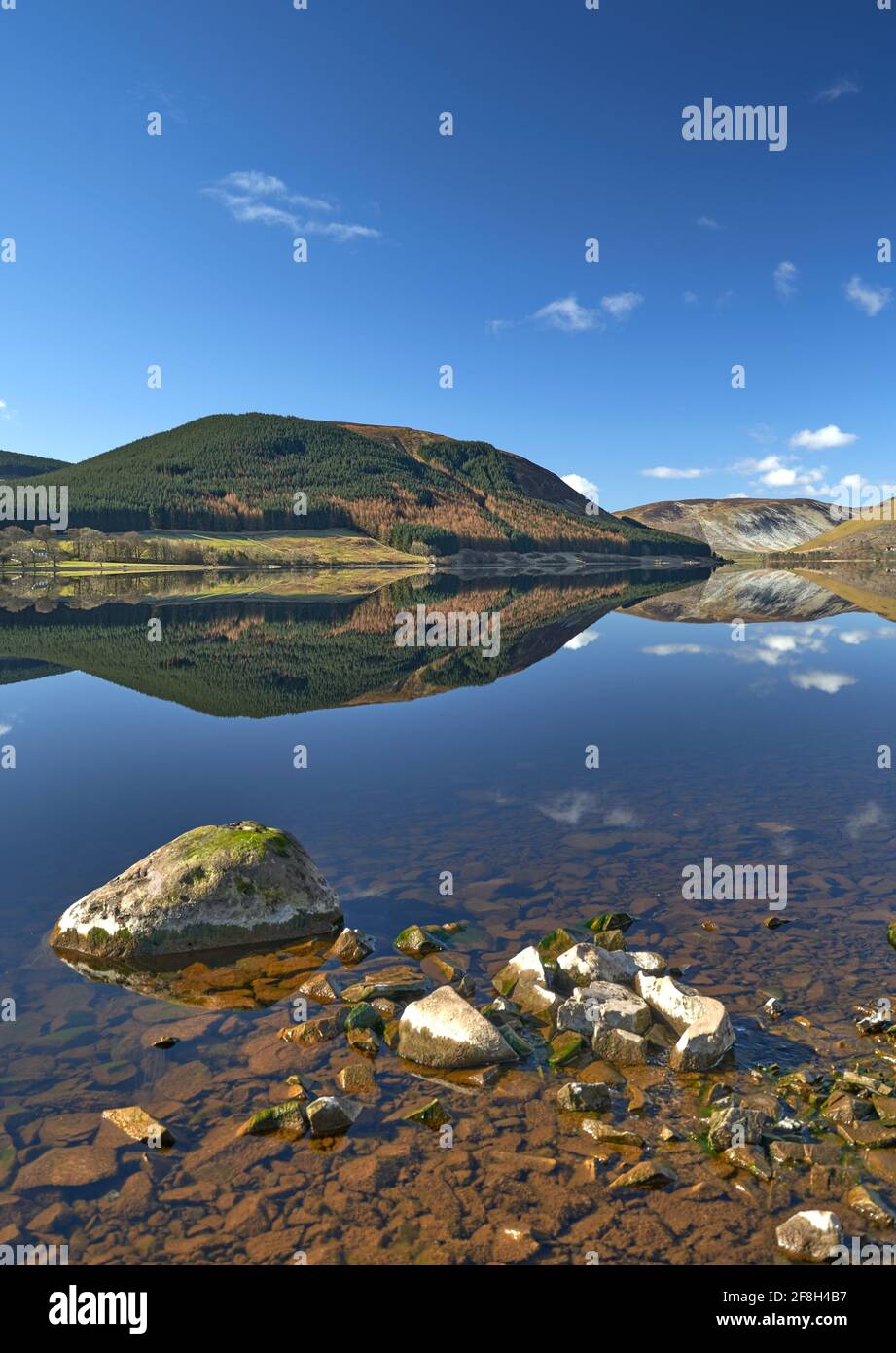 Splendidi riflessi delle colline che circondano il lago di St. Mary in una mattina di primavera senza fiato e soleggiata ai confini scozzesi. Foto Stock