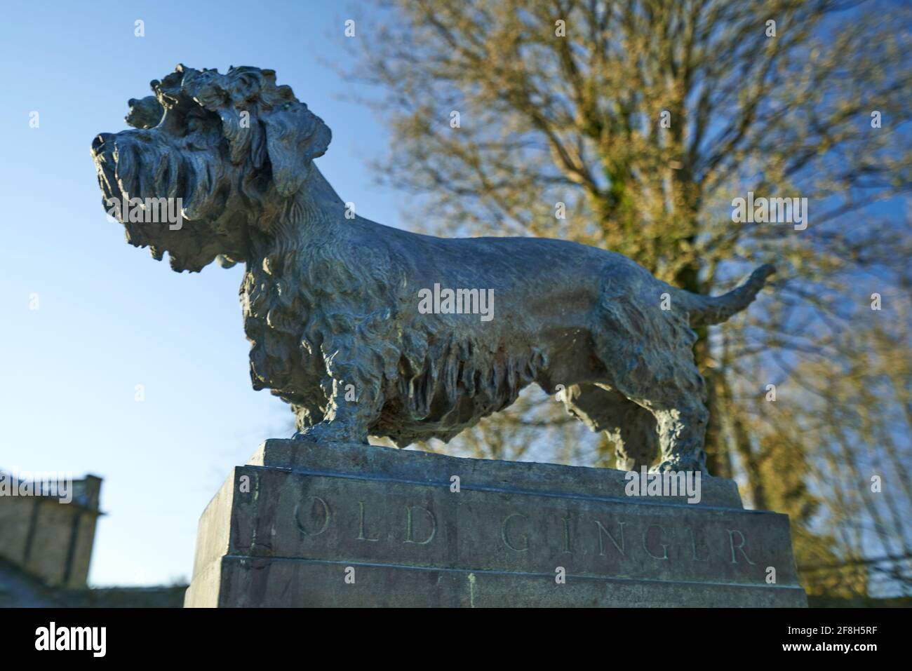 Statua di Old Ginger a Dendie Dinmont Terrier nei terreni del Haining a Selkirk ai confini scozzesi. Foto Stock