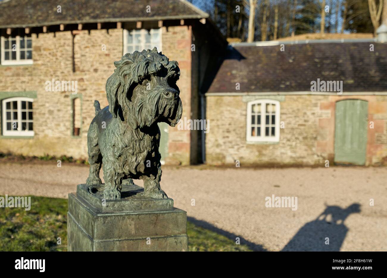 Statua di Old Ginger a Dendie Dinmont Terrier nei terreni del Haining a Selkirk ai confini scozzesi. Foto Stock
