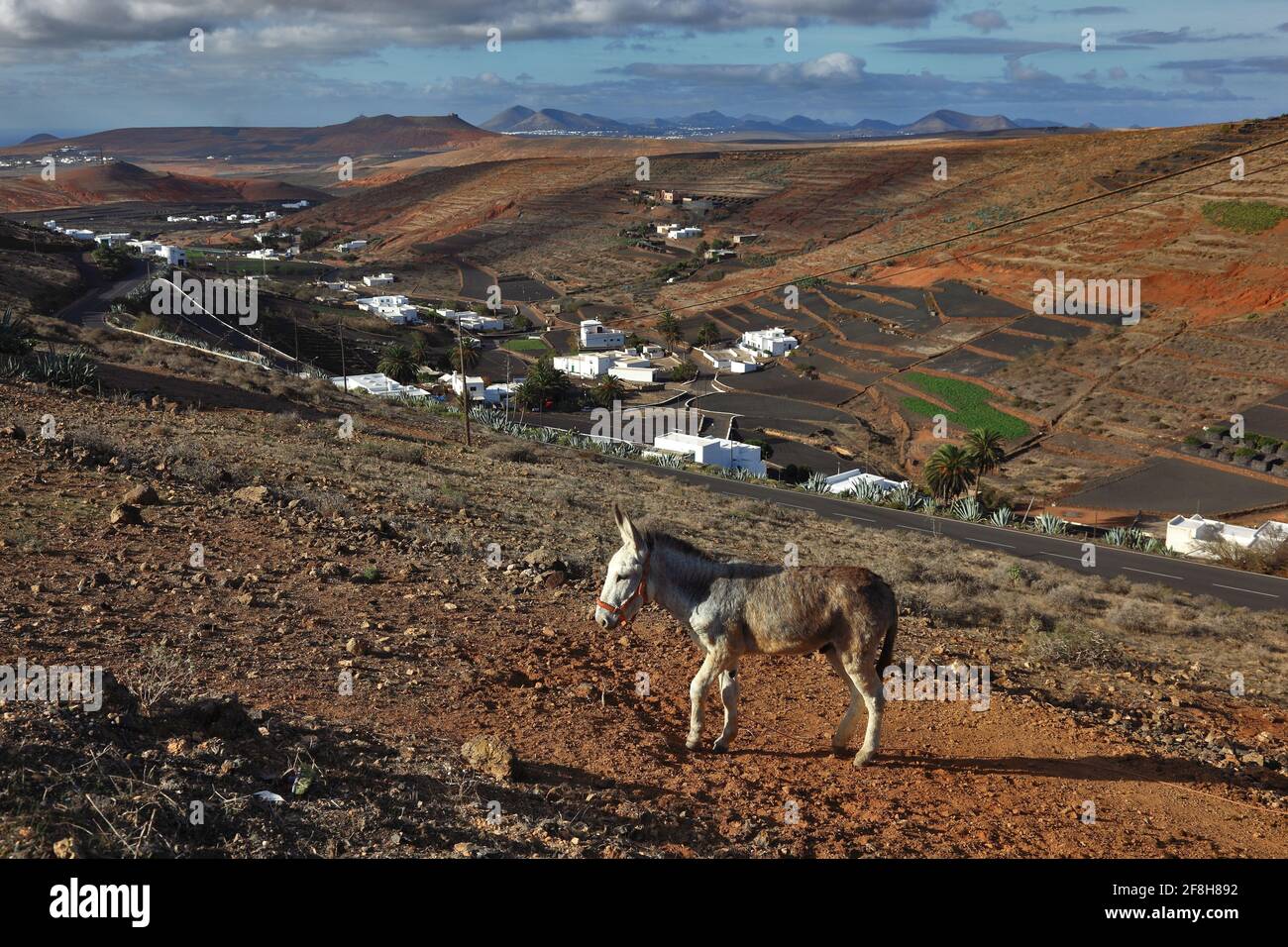 Viste di Los Valles, vicino a Haria, Lanzarote, Isole Canarie, Canarie, Spagna Foto Stock