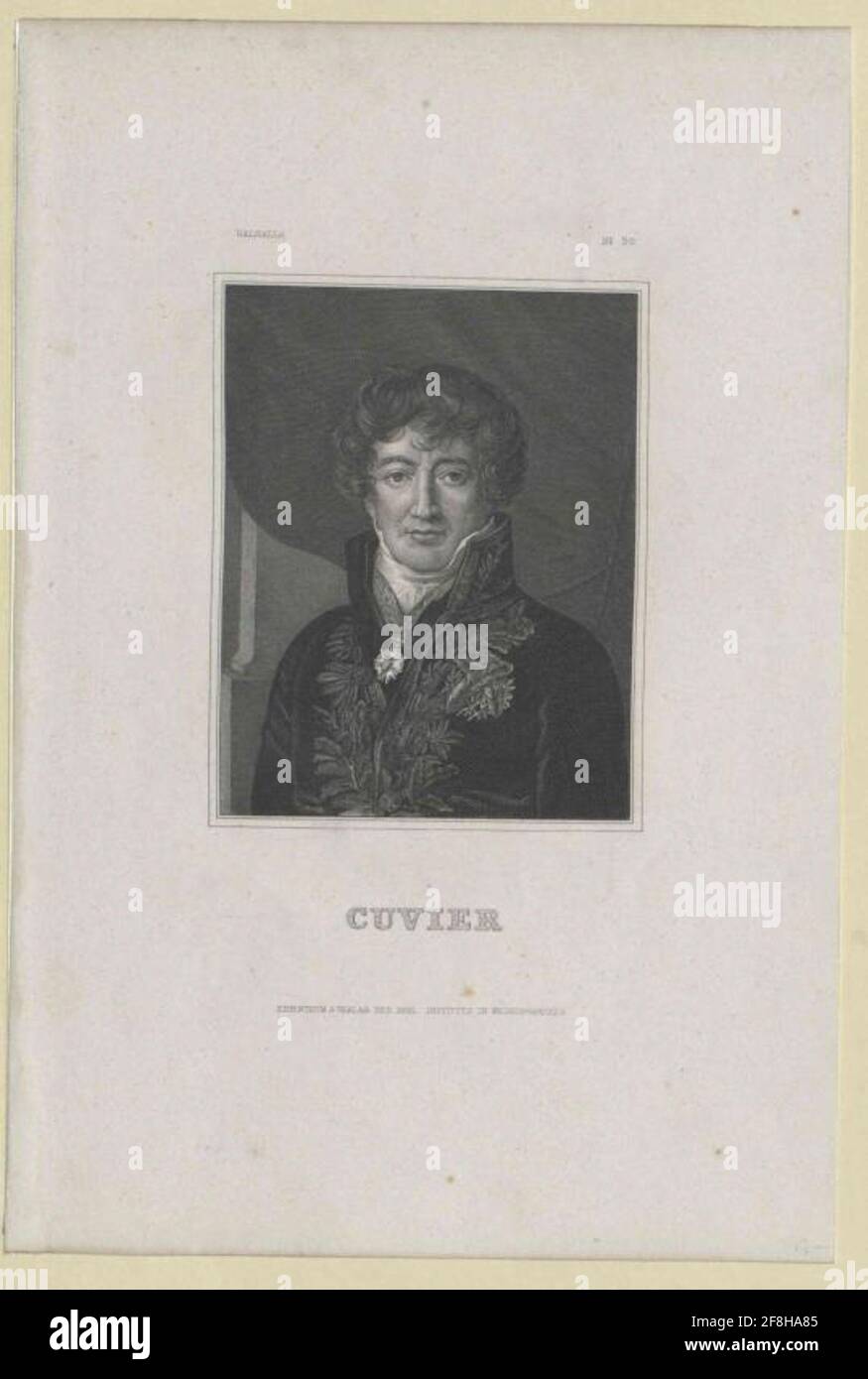 Cuvier, George Unknown artista editore: Bibliographic Institute Verlagsort: Hildburghausen Foto Stock