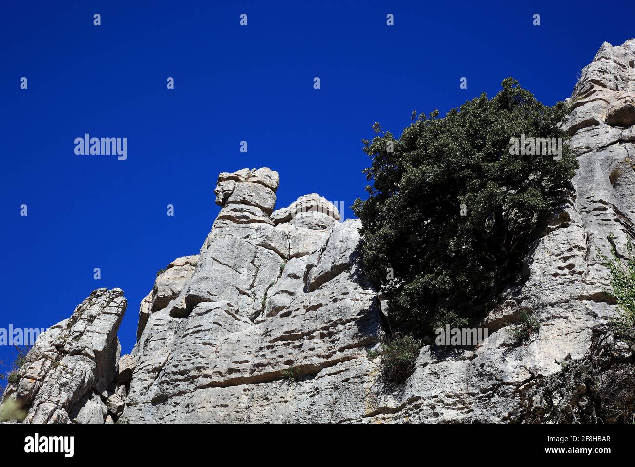 Formazioni rocciose bizzarre nel Parco Nazionale El Torca, Paraje Natural Torcal de Antequera, El Torcal de Antequera è una riserva naturale nella Sierra del To Foto Stock