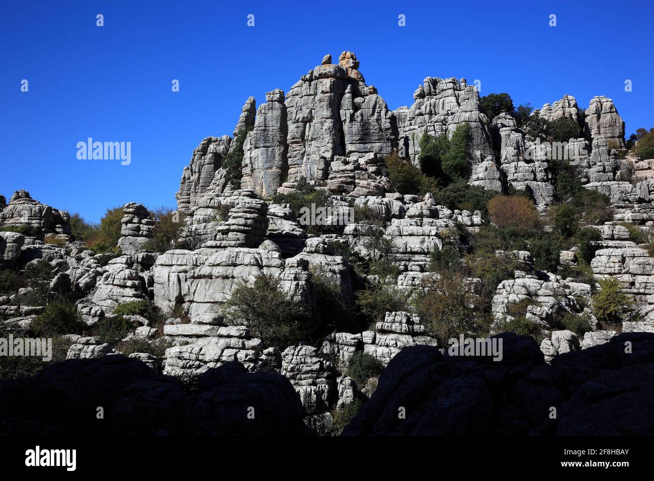 Formazioni rocciose bizzarre nel Parco Nazionale El Torca, Paraje Natural Torcal de Antequera, El Torcal de Antequera è una riserva naturale nella Sierra del To Foto Stock