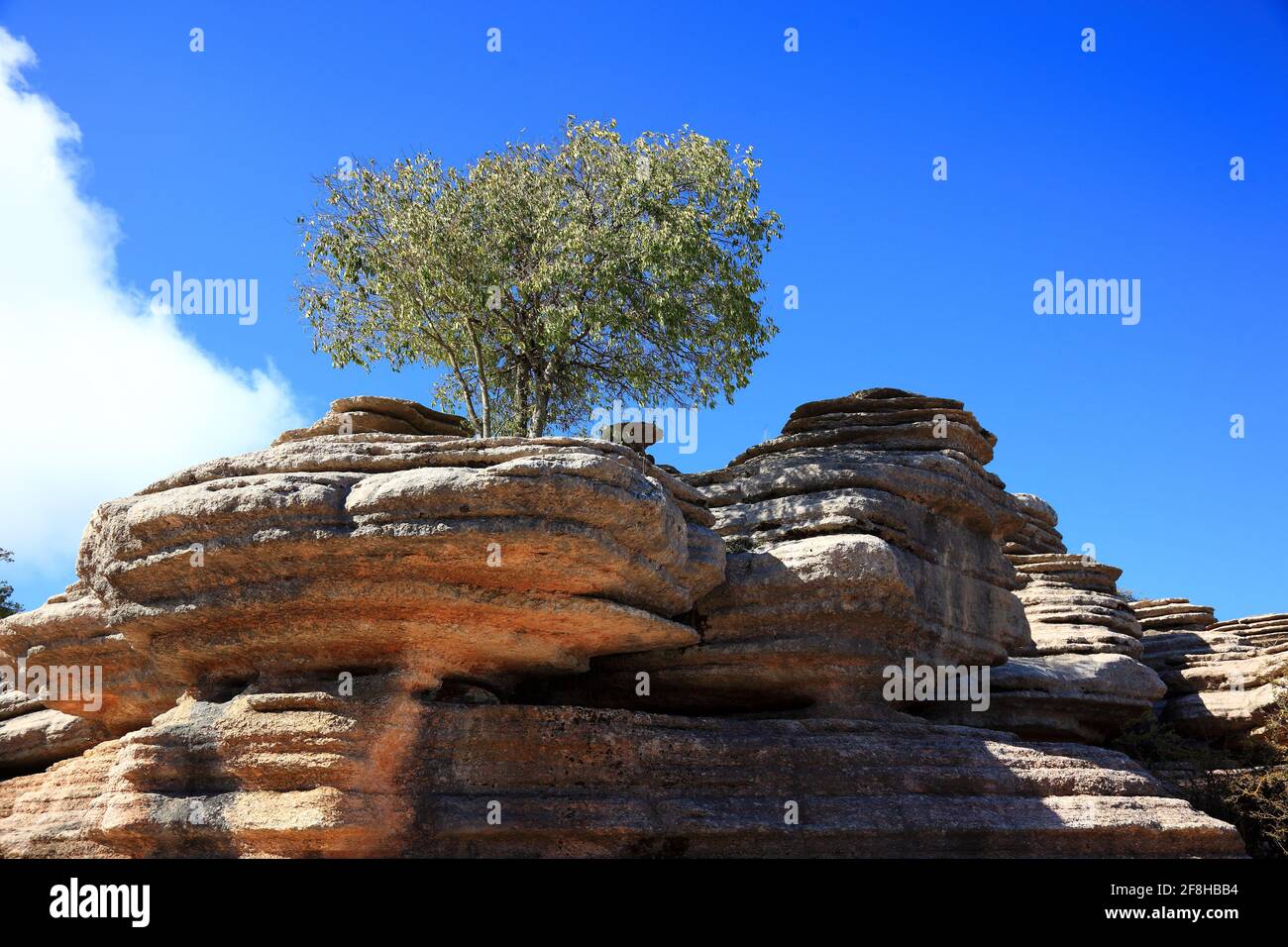 Bizzarre formazioni rocciose nel Parco Nazionale El Torca, Paraje Natural Torcal de Antequera, ist ein 1171 ha grosses Naturschutzgebiet con auss??ergewoehnl Foto Stock