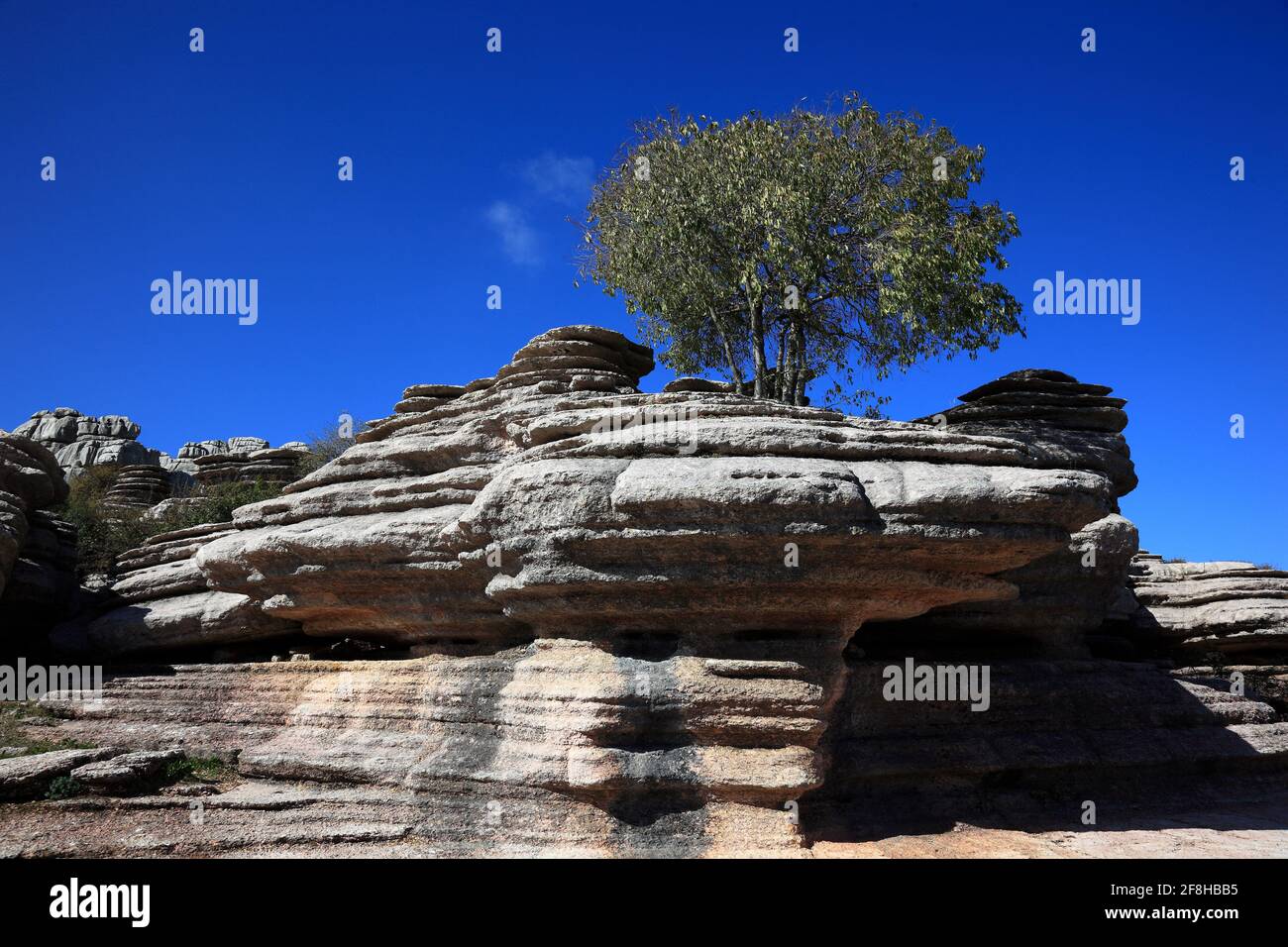 Formazioni rocciose bizzarre nel Parco Nazionale El Torca, Paraje Natural Torcal de Antequera, El Torcal de Antequera è una riserva naturale nella Sierra del To Foto Stock