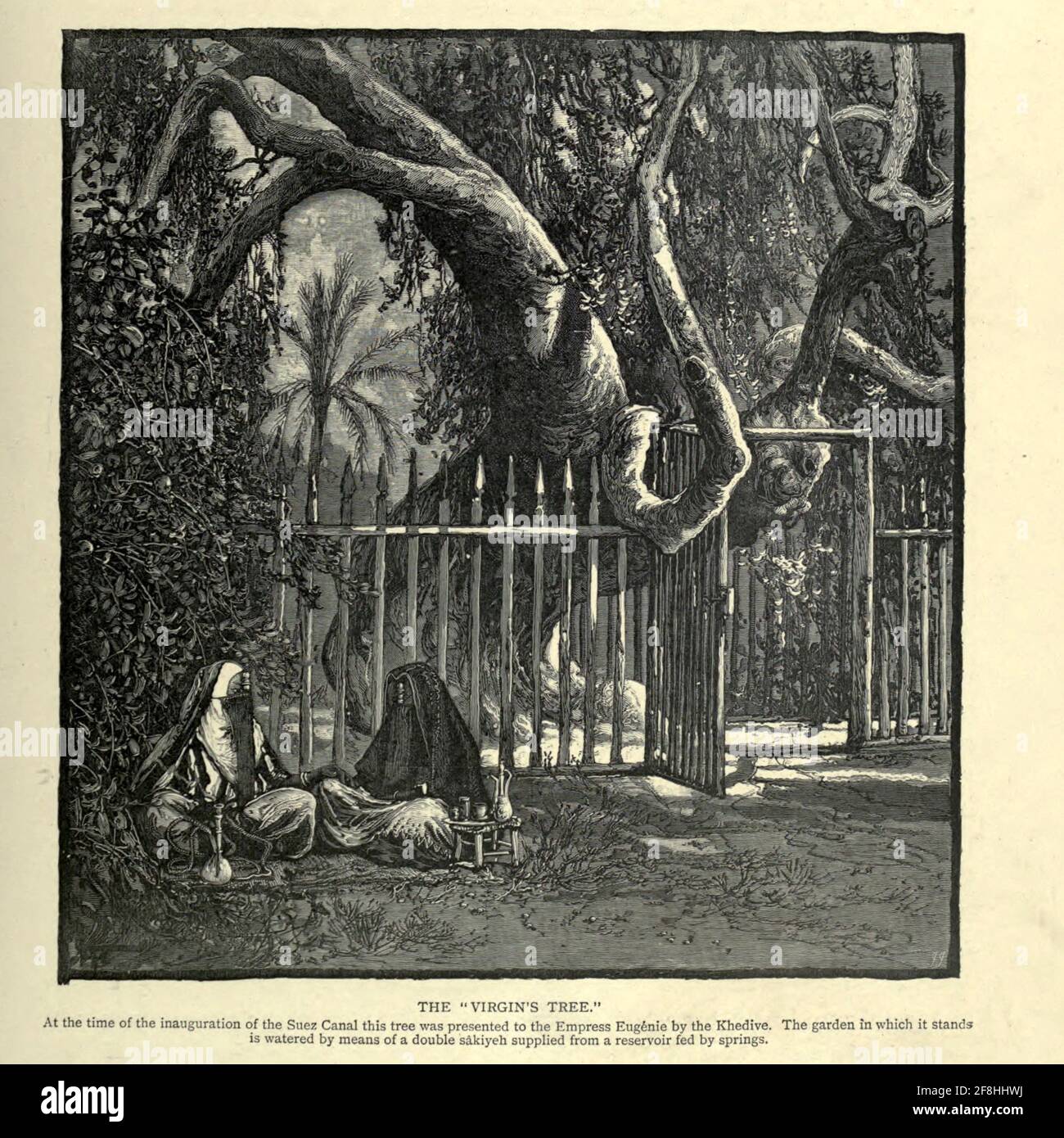 L'albero della Vergine, Egitto incisione del legno di 'Palestina pittoresca, Sinai ed Egitto' di Wilson, Charles William, Sir, 1836-1905; Lane-Poole, Stanley, 1854-1931 Volume 4. Pubblicato nel 1884 da J. S. Virtue and Co, Londra Foto Stock L'albero della Vergine, Egitto incisione del legno di 'Palestina pittoresca, Sinai ed Egitto' di Wilson, Charles William, Sir, 1836-1905; Lane-Poole, Stanley, 1854-1931 Volume 4. Pubblicato nel 1884 da J. S. Virtue and Co, Londra Foto Stock