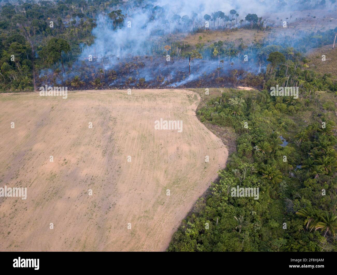Vista aerea del drone di fuoco che brucia nella foresta amazzonica paesaggio illegale di deforestazione per fare terra per l'agricoltura e pascolo del bestiame a Para, Brasile Foto Stock