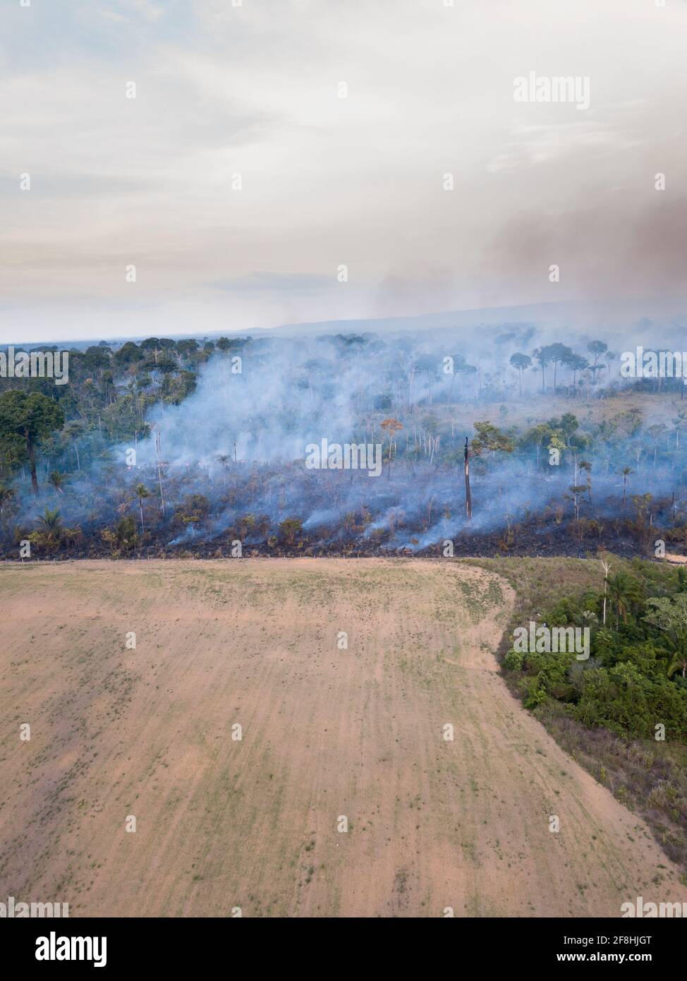 Vista aerea del drone di fuoco che brucia nella foresta amazzonica paesaggio illegale di deforestazione per fare terra per l'agricoltura e pascolo del bestiame a Para, Brasile Foto Stock