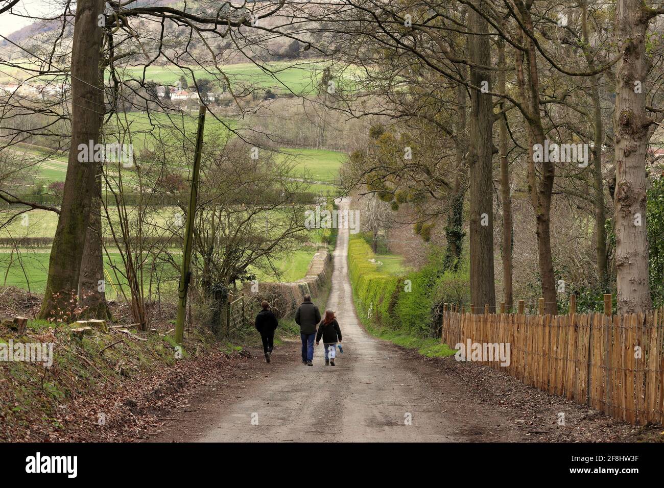 Un paesaggio rurale inglese nelle colline Chiltern nel sud Buckinghamshire con una corsia di campagna tra i siepi e tre escursionisti Foto Stock