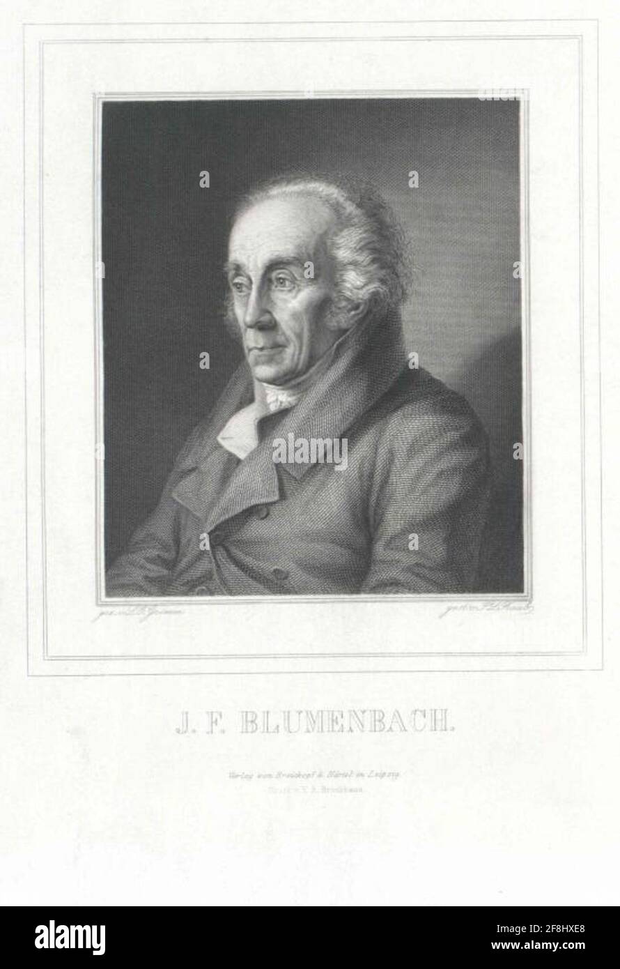 Brumenbach, Johann Friedrich disegnatore: Grimm, Ludwig Emilstecher: Raab, Johann LeonhardPrinter: Brockhaus, Friedrich Arnoldverlag: Breitkopf & Härtel Incontri: 1805 / 1823Sort: Leipzig Foto Stock