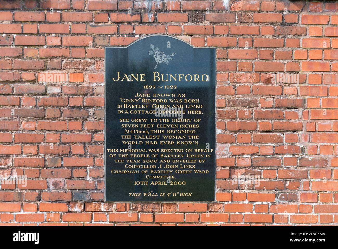 Lapide commemorativa sul muro della biblioteca Bartley Green, Birmingham dove Jane Ginny Bunford, la donna più alta del mondo, è nato Foto Stock