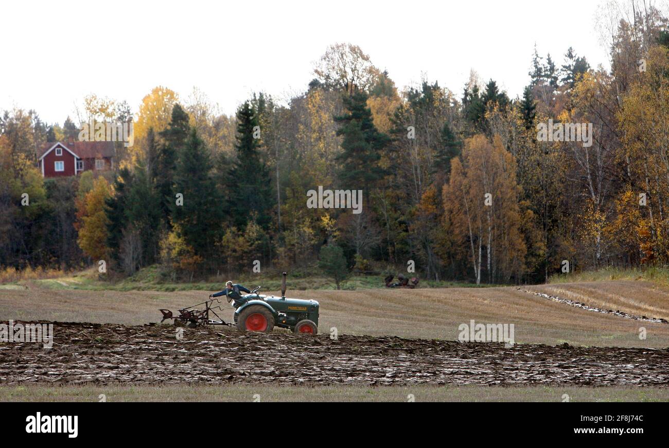 Un agricoltore che, con l'aiuto di un trattore e di un aratro, aratura il suo campo. Foto Stock