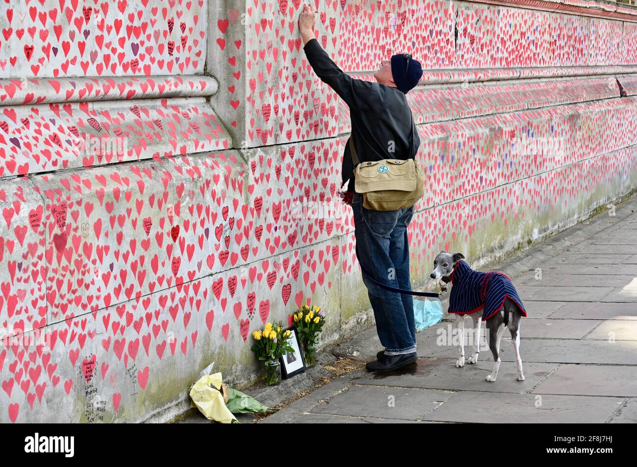 Londra. REGNO UNITO. Il 14 aprile 2021, il pubblico continua a gregge al muro commemorativo del COVID per le vittime del coronavirus che sono scomparse nell'ultimo anno. St Thomas' Hospital, Londra Foto Stock