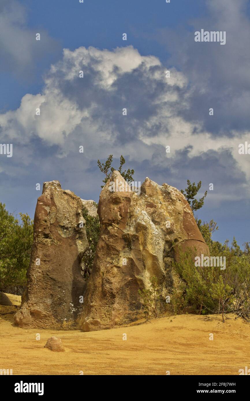 Vista delle formazioni calcaree naturalmente scolpite nel deserto dei Pinnacoli del Parco Nazionale di Nambung nell'Australia Occidentale vicino a Cervantes. Foto Stock