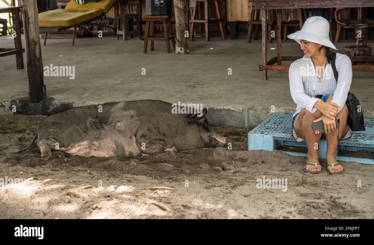 Donna visita l'isola di Koh Madsum e la loro spiaggia maiali Foto Stock