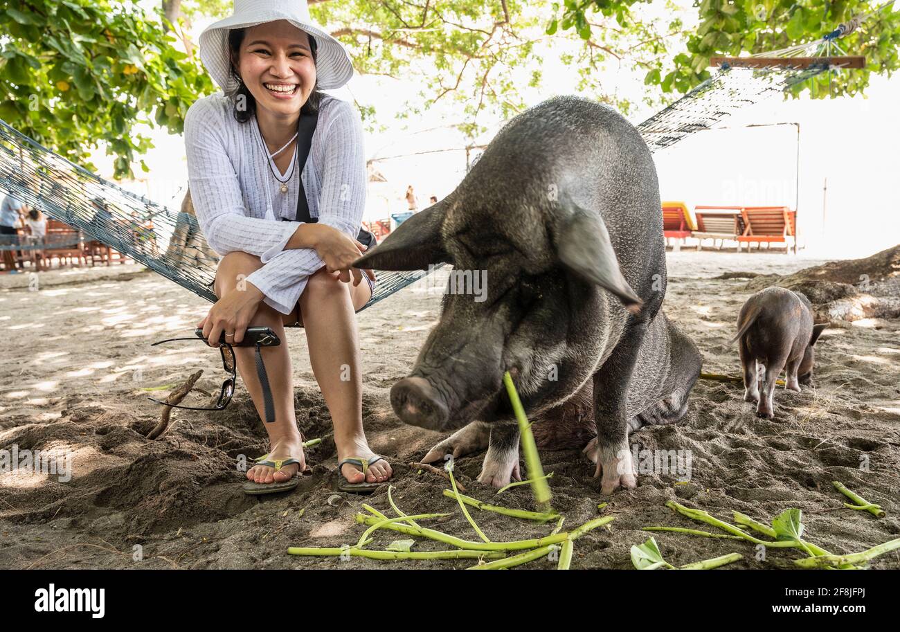 Donna visita l'isola di Koh Madsum e la loro spiaggia maiali Foto Stock