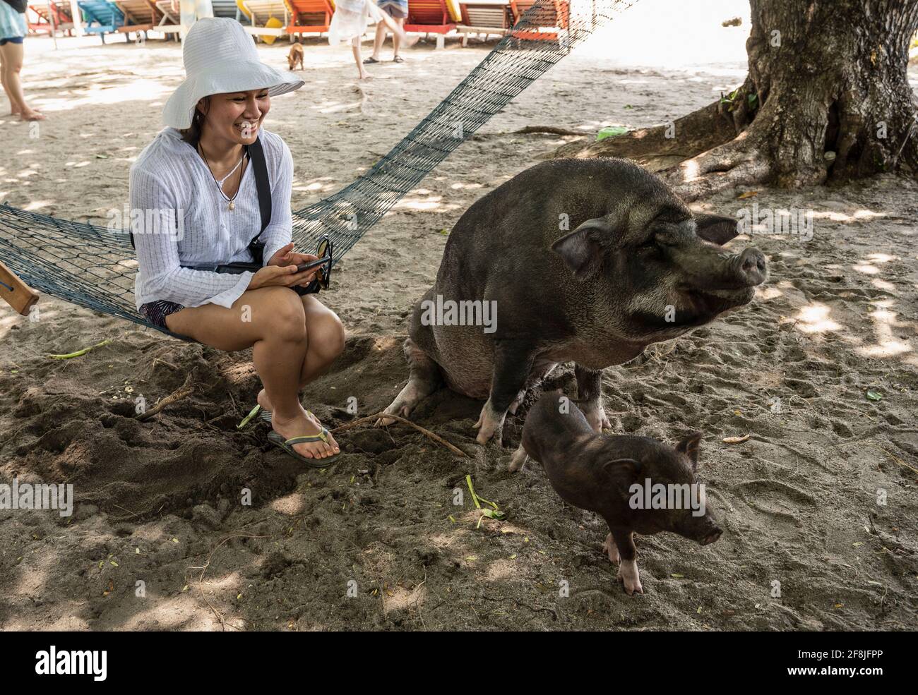 Donna visita l'isola di Koh Madsum e la loro spiaggia maiali Foto Stock