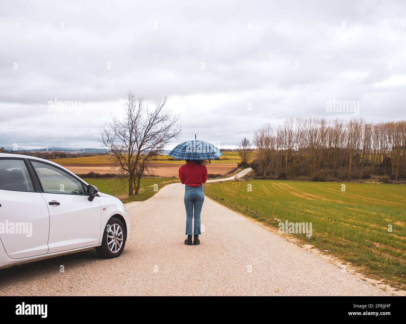 donna con ombrello nel mezzo della strada successiva a campo con auto Foto Stock