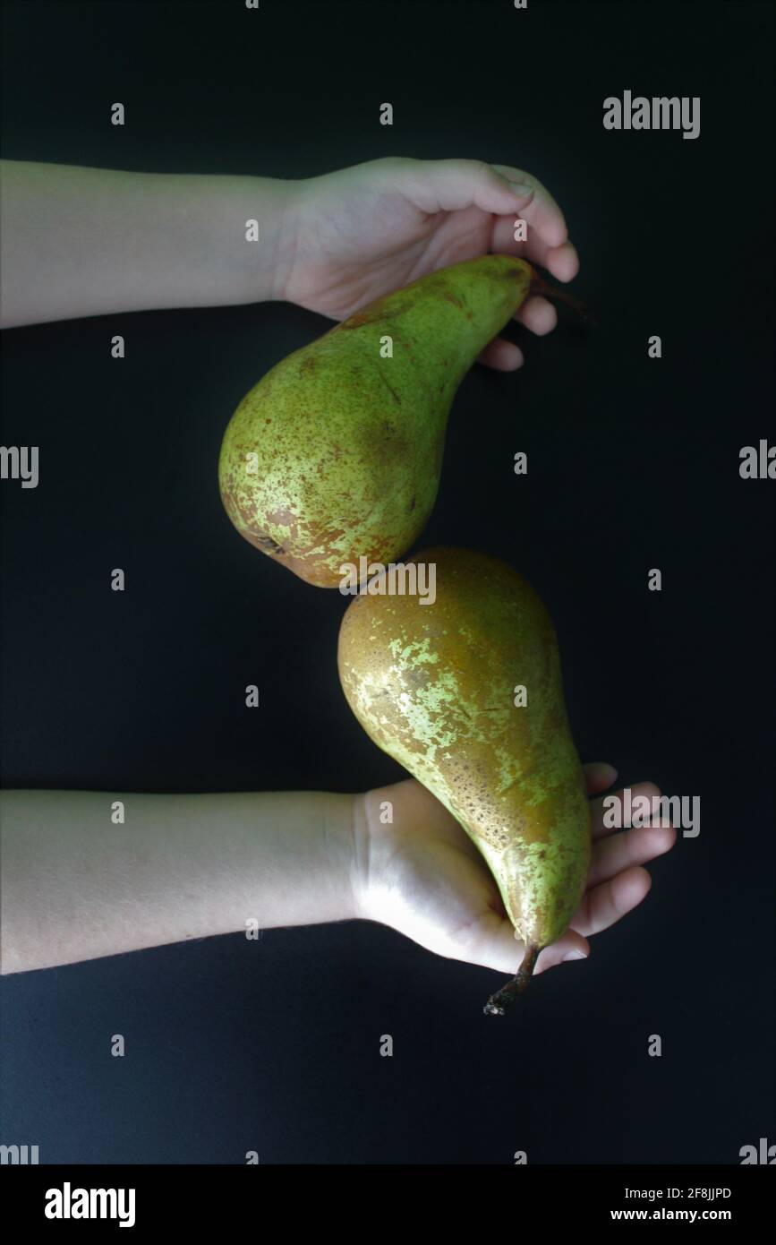 Su uno sfondo nero, due mani tengono due pere Foto Stock