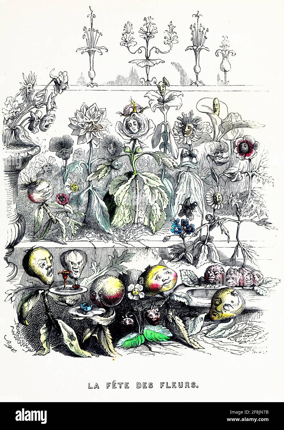 La Fete des Fleurs o Fiore Festival. Divisione sociale e gerarchia al festival con le verdure di radice non essere troppo felice - J J Grandville. Foto Stock