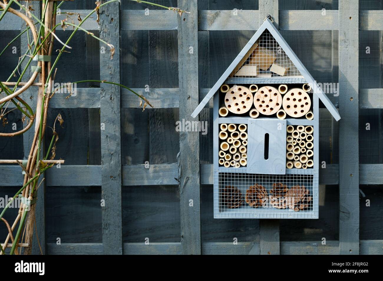 Un hotel per insetti, una casa per insetti o un hotel per insetti che pende in un giardino di casa. La struttura fatta dall'uomo fornisce riparo agli insetti, comprese le api solitarie Foto Stock